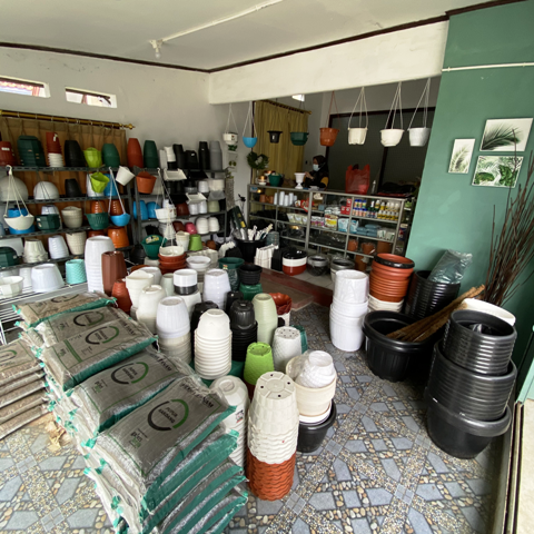 Galeri Hejo Nursery